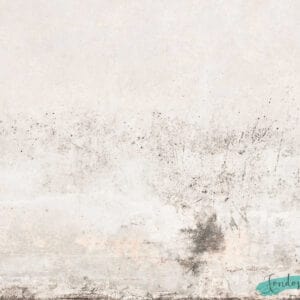 Fondo de cemento Gris