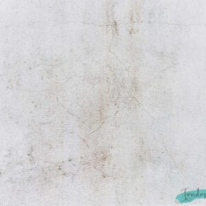 Fondo de cemento Gris