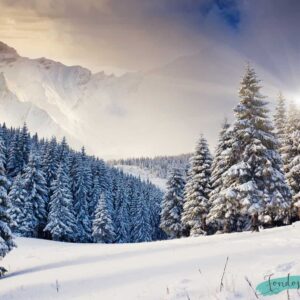Fondo de paisaje