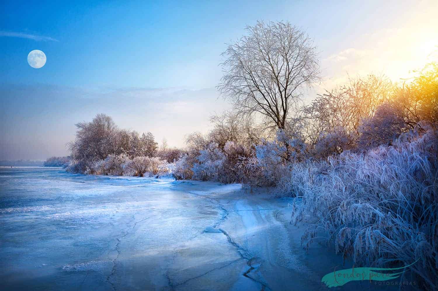 Fondo de paisaje
