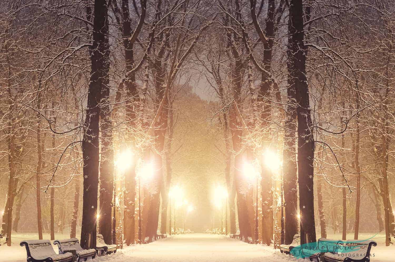 Fondo de paisaje