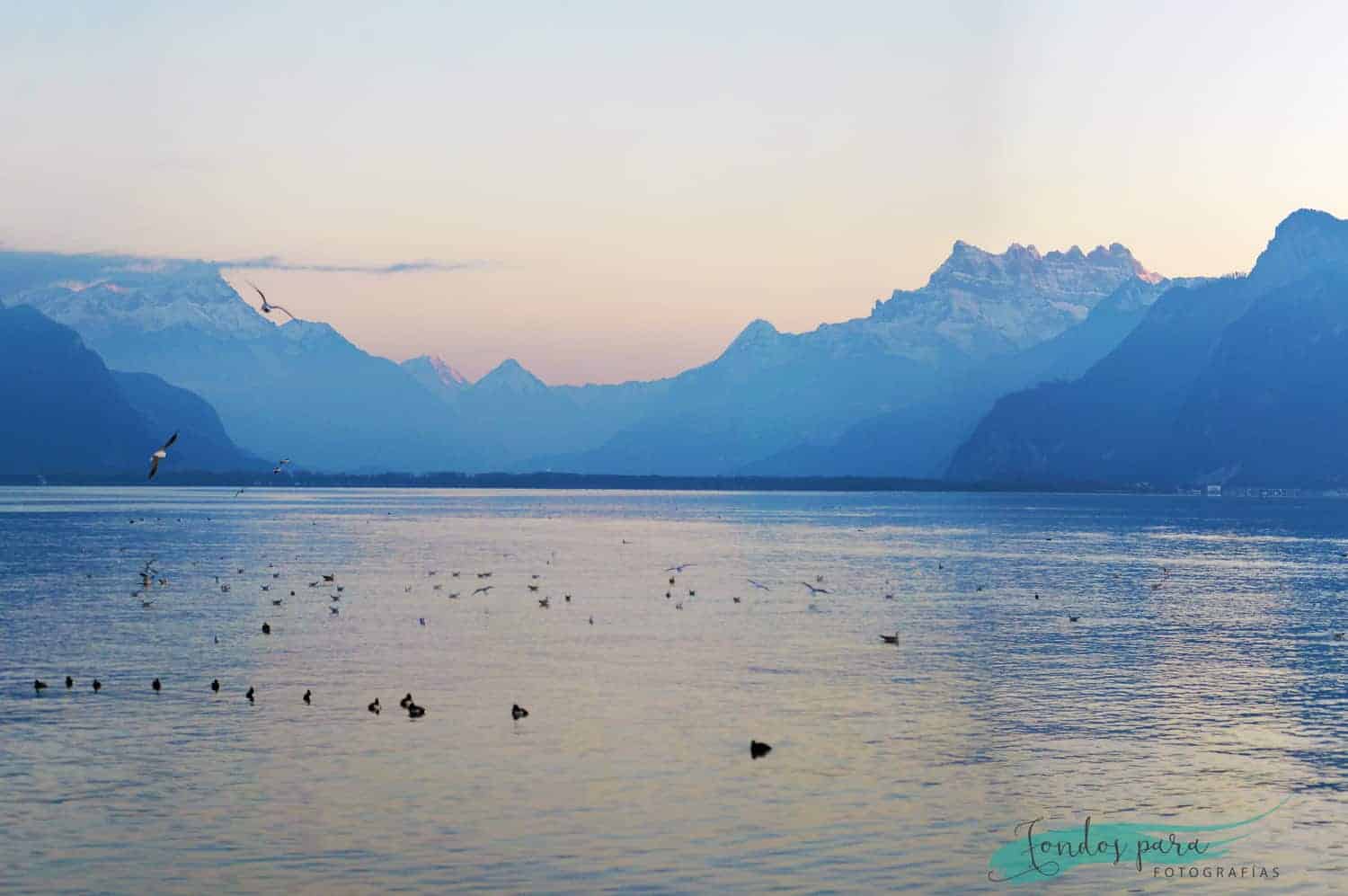 Fondo de paisaje